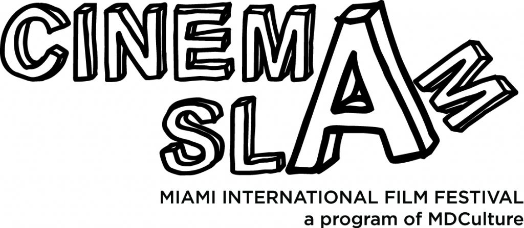 Miami International Film Festival Volunteer